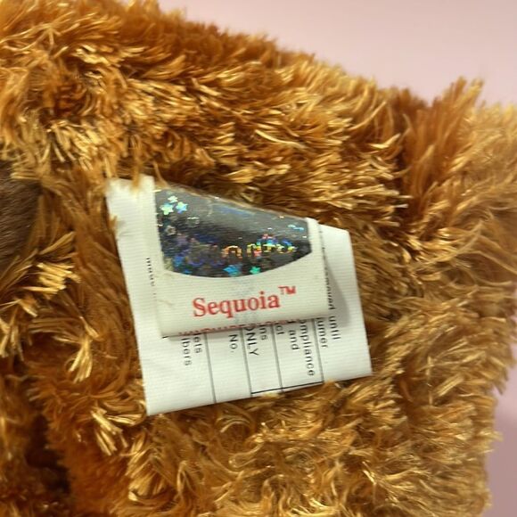 Sequoia the Brown Bear 2001 Ty Original Beanie Baby NWT Excellent Condition - Picture 6 of 8